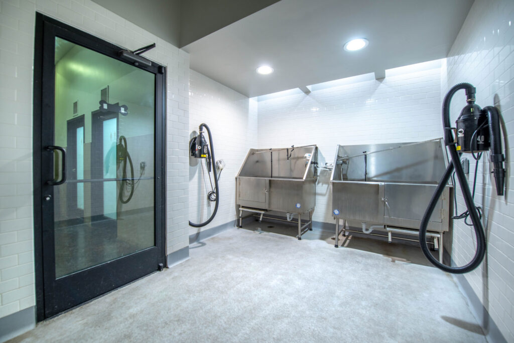 A dog washing station with two stainless steel tubs and wall-mounted dryers in a room with white subway tile walls.